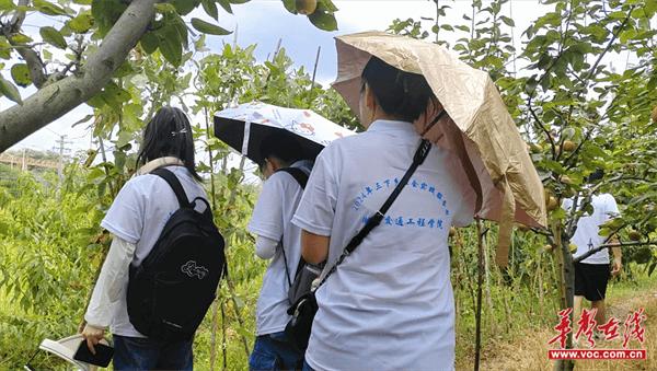 湖南交通工程学院：“三下乡”服务到基层  倾听果农音振兴果园地