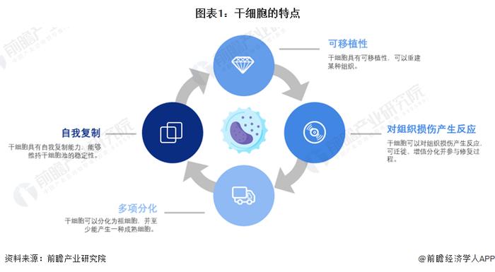 23万颅面缺陷患者福音！研究人员开发出生成人体软骨的新方法：从干细胞中产生软骨细胞【附干细胞医疗技术赛道观察图谱】