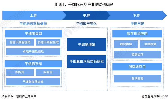 23万颅面缺陷患者福音！研究人员开发出生成人体软骨的新方法：从干细胞中产生软骨细胞【附干细胞医疗技术赛道观察图谱】