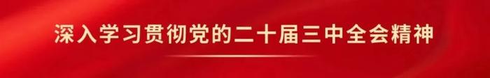 在改革新征程跑出青春加速度——全国民营经济领域学习贯彻党的二十届三中全会精神综述之二