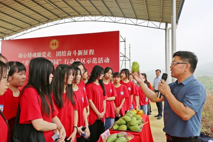 广西百色市总工会：“课堂+平台+师资”推动劳动教育走深走实