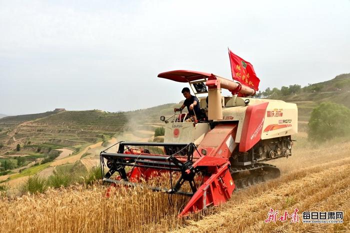 铁牛驰骋麦飘香 陇西旱塬夏收忙