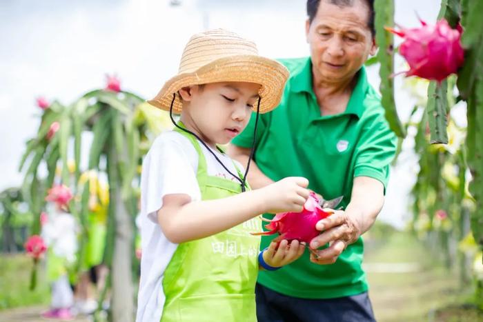 鲜甜上市！中山夏季摘果地图出炉