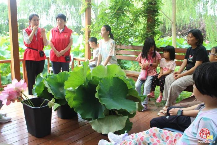 济南市园林和林业科学研究院开展荷花主题自然科普教育活动