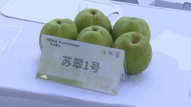 庄行蜜梨哪个品种最好吃？奉贤举办品鉴会请老百姓来发言