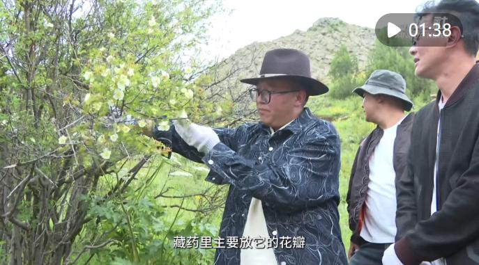 西藏丁青：传承藏医药文化 加强藏药材保护与利用