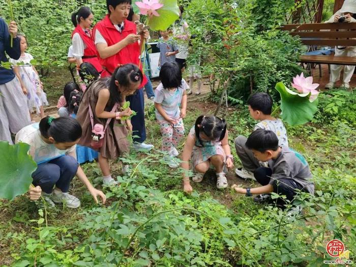 济南市园林和林业科学研究院开展荷花主题自然科普教育活动