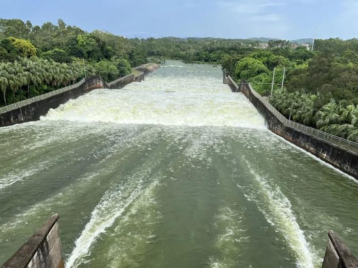 徐闻台风黄色预警！鹤地水库提前泄洪，50个易积水点→