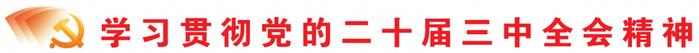 以一往无前的奋斗姿态把改革推向前进——党的二十届三中全会精神在全区各地广大干部群众中引发热烈反响