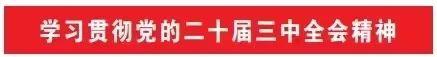 陆军部队认真学习党的二十届三中全会精神