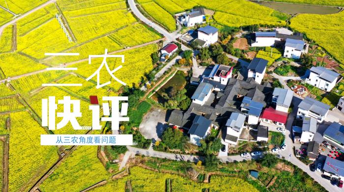 平衡“放得活”与“管得住”，维护市场秩序｜向改革要动力