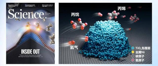 突破性研究成果！祝贺中国科学家