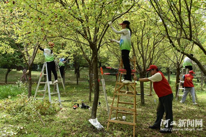 2024年石家庄市职工职业技能大赛园林绿化工决赛圆满落幕