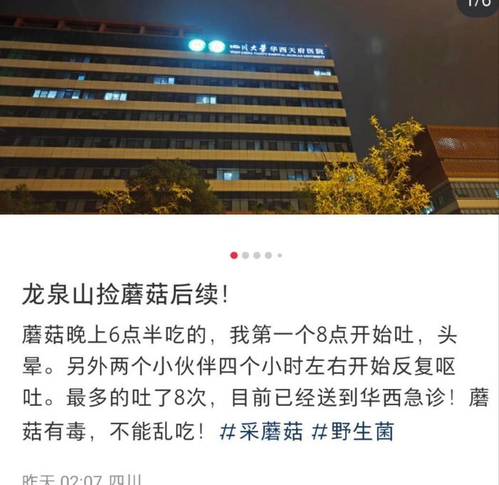 成都网友龙泉山捡蘑菇误食毒菌后反复呕吐，大呼“后悔” ！