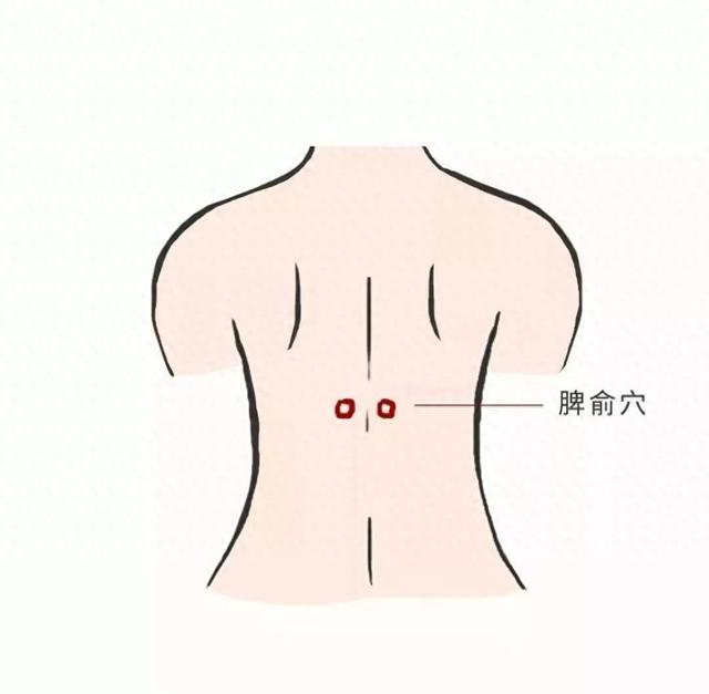 大暑节气湿热交蒸，养生要点请收藏→