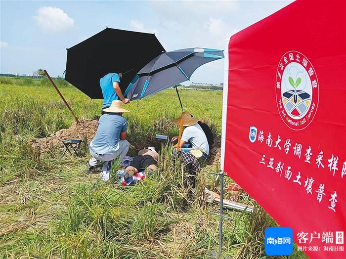 海南加快推进第三次全国土壤普查，助力南繁种业高质量发展