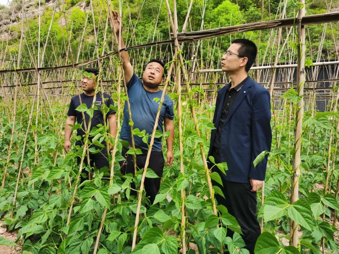 甘肃成县锁池：奋力推动各项事业高质量发展