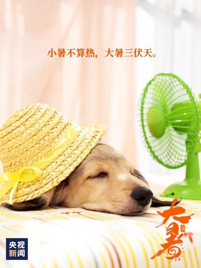 夏天最后一个节气，来了！⏰7月22日15时44分，大暑