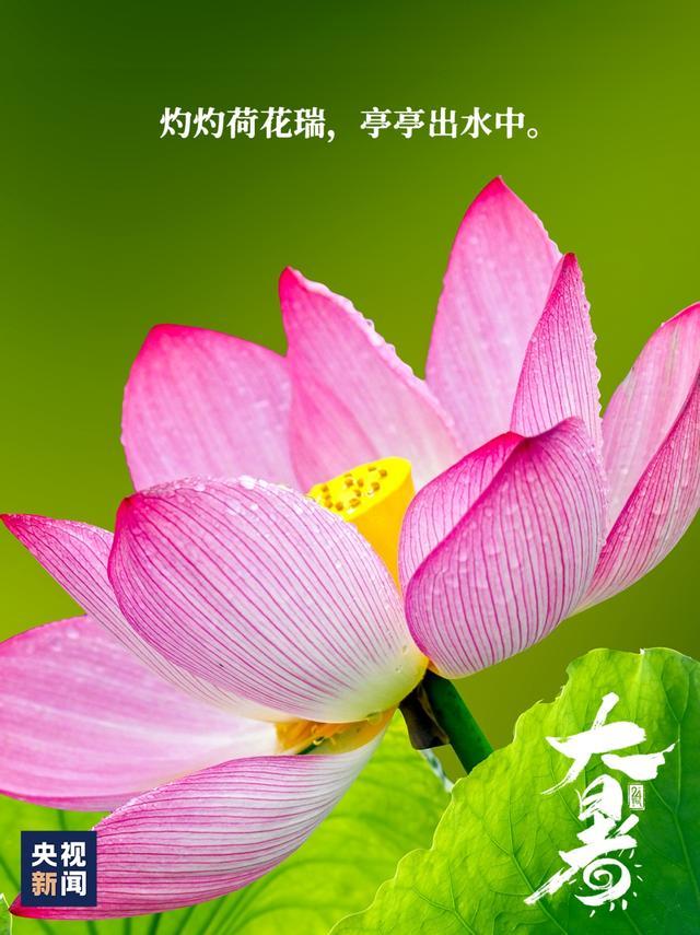 夏天最后一个节气，来了！⏰7月22日15时44分，大暑