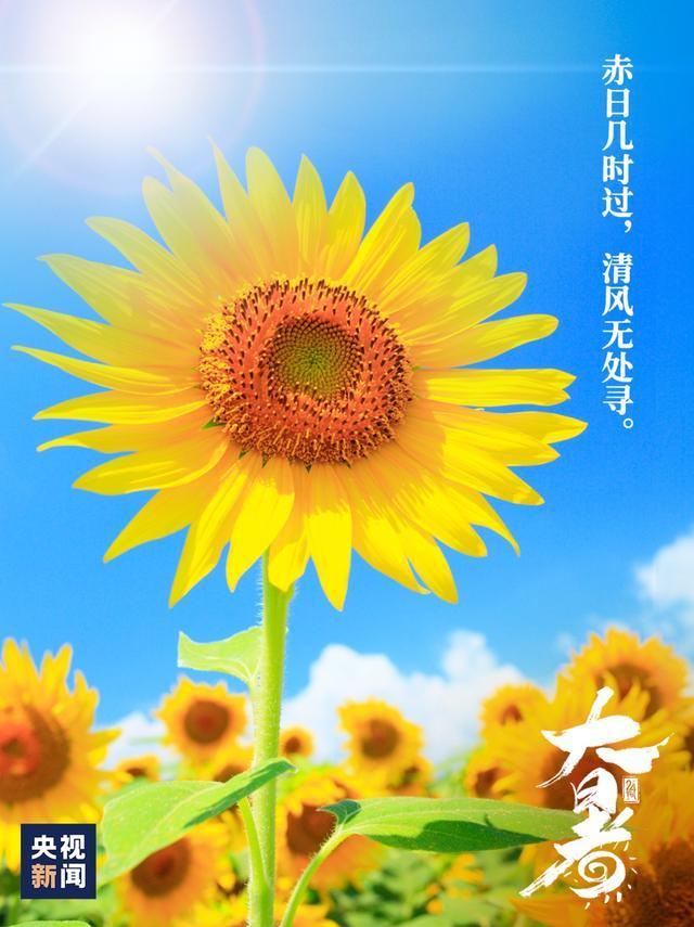 夏天最后一个节气，来了！⏰7月22日15时44分，大暑