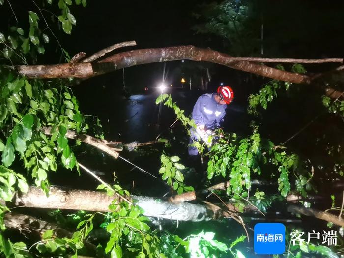 台风致多处树木倒伏和庭院内涝 陵水消防提醒