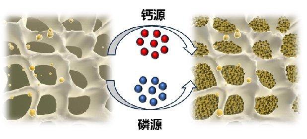 让3000年前的象牙更强健 三星堆象牙保护取得阶段性成果