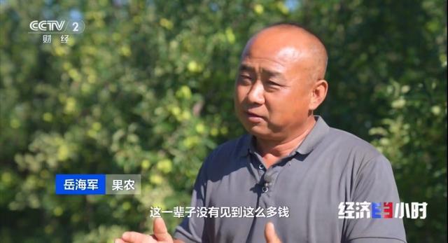 央视《经济半小时》详解农夫山泉助农道路：新型农业经营主体如何“联农带农”？