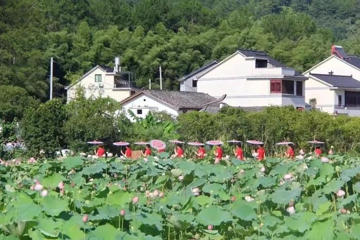 大量上市！部分价格上涨！