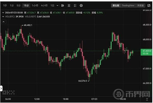 庆祝拜登退选  辉达大涨4%、台积电ADR反弹 美股四大指数齐扬 比特币攀高6.8万美元