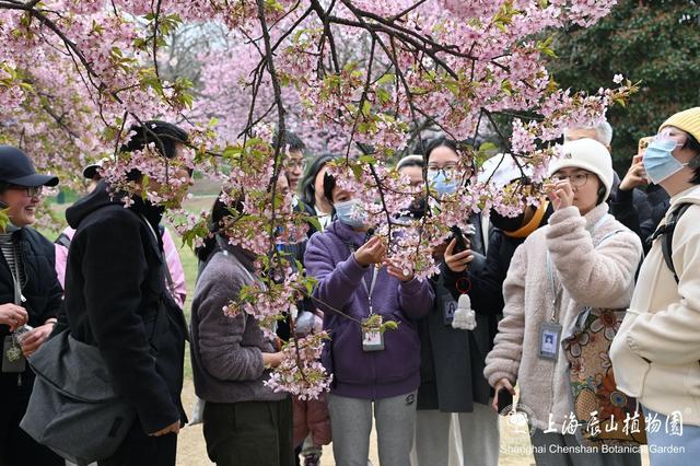 辰山花社招生啦～课程全免费，园艺、植物爱好者冲！