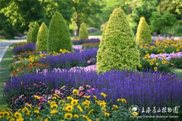 辰山花社招生啦～课程全免费，园艺、植物爱好者冲！