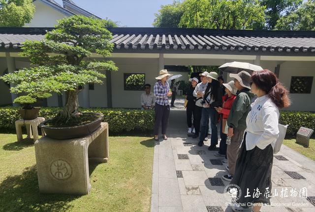 辰山花社招生啦～课程全免费，园艺、植物爱好者冲！