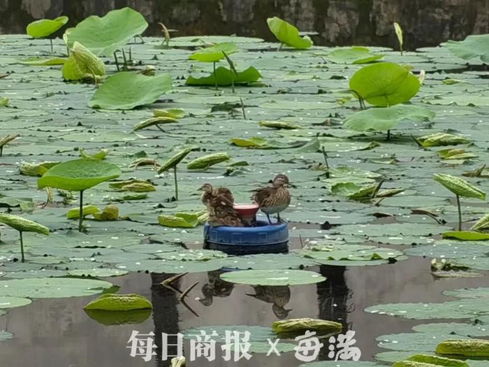 超强台风即将生成！浙江已启动四级响应！“格美”这天或将登陆浙江！杭州明起天气大变……