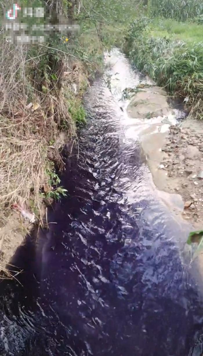 山东威海一小河河水变紫，生态环境局：大雨冲坏污水管网