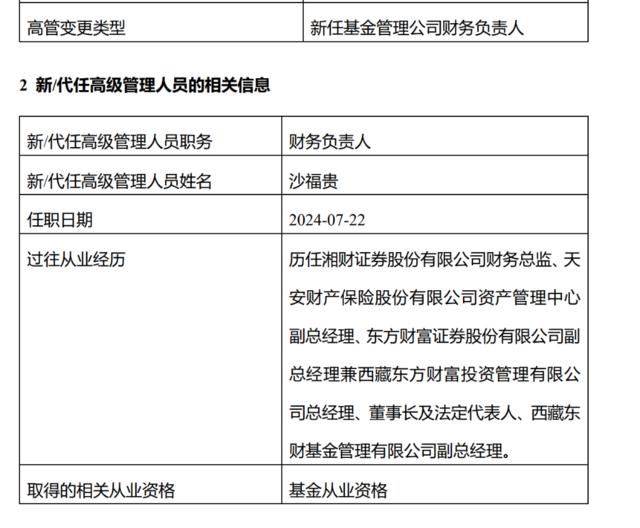 年内第三度调整高管，“鲶鱼”基金公司“人事图谱”指向何方？