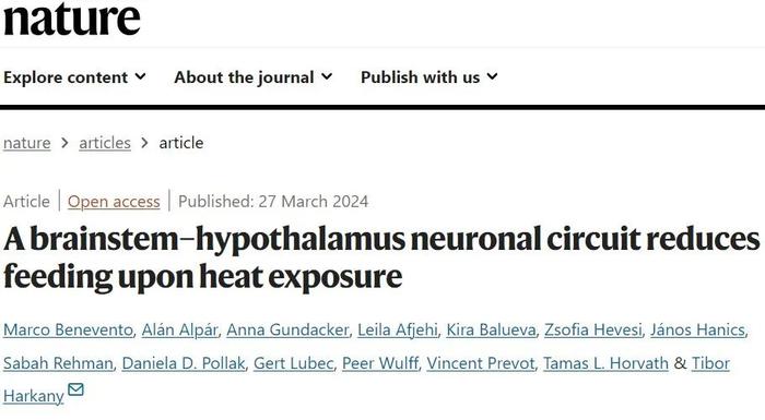 为什么天气热就胃口差？Nature重磅：高温抑制食欲的背后原因找到了！并提供肥胖治疗思路