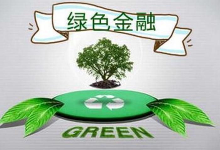 新网银行以实际行动助力金融强国建设