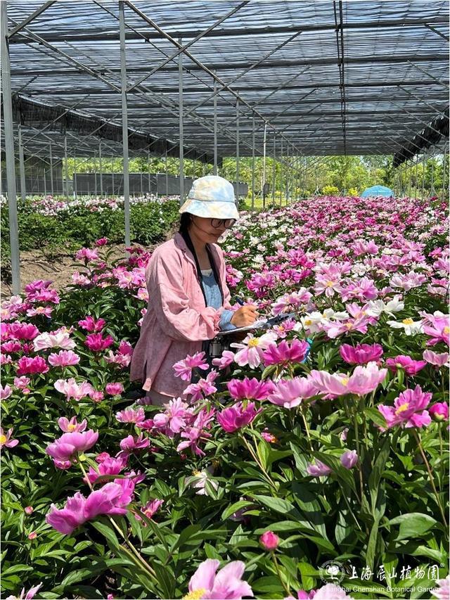 辰山花社招生啦～课程全免费，园艺、植物爱好者冲！