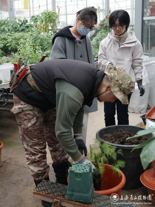 辰山花社招生啦～课程全免费，园艺、植物爱好者冲！