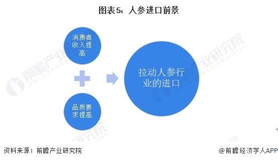 2024年中国人参行业进口市场发展分析 行业进口不断增加，进口均价有所松动【组图】