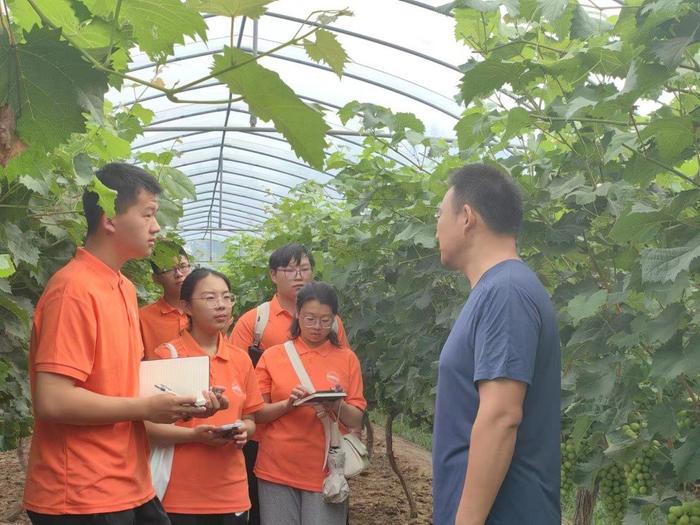 合肥工业大学：大学生“三下乡”，青春力量助力乡村振兴