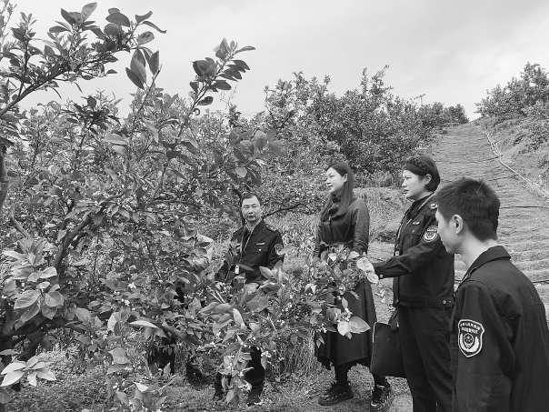 “会昌独好”区域品牌赋能乡村振兴