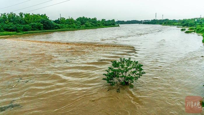 C视觉丨直击成都大邑降雨 导致河水暴涨