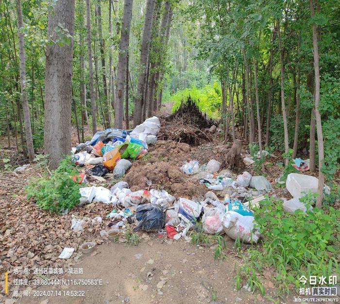 持续加大检查巡查力度 营造整洁有序夏日城市环境