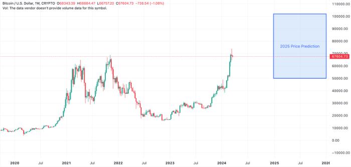 比特币的10万美元飙升：分析BTC对2025年的看涨预测