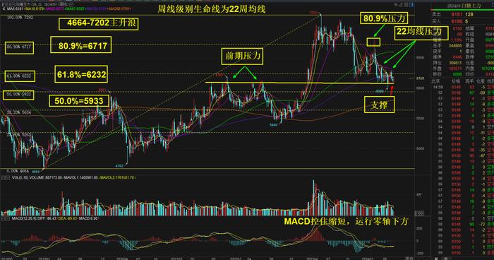 白糖：海通和“太君”占多头仓位榜首