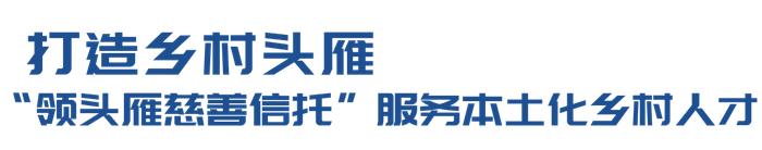 公益丨中国外贸信托乡村振兴慈善信托课题入选《中央企业助力乡村振兴蓝皮书（2023）》