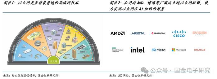 【国金电子】Arista公司深度：高速以太网交换机龙头，有望充分受益 AI以太网组网趋势