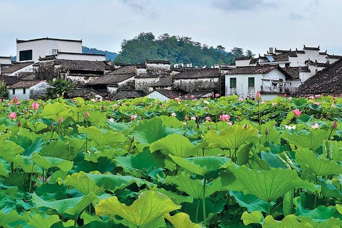 将徽派建筑进行到底