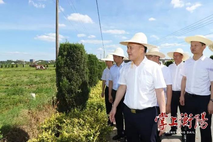 刘越高：抢抓农时抓好夏粮生产和收购，为全年粮食丰产丰收奠定坚实基础